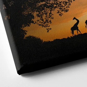 African Sunset Canvas print 