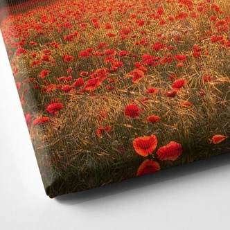 Flowers at Sunset Canvas print 