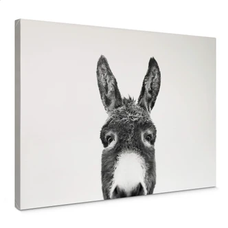 Canvas Print Sisi & Seb - Donkey 