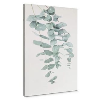 Canvas Print Sisi & Seb - Eucalyptus 