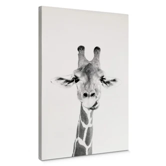 Canvas Print Sisi & Seb - Happy Giraffe 