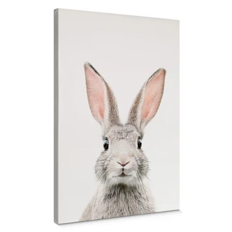 Canvas Print Sisi & Seb - Bunny 
