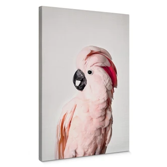 Canvas Print Sisi & Seb - Pink Cockatoo 