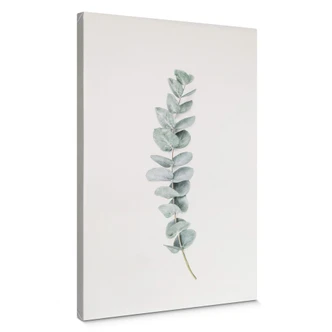 Canvas Print - Sisi & Seb - Eucalyptus Branch 