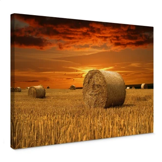 Bales of Straw Canvas print 