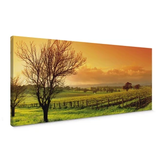 Vineyard Panorama Canvas print 