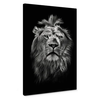 Lion Canvas print 