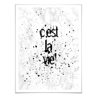 Poster C'est la vie 