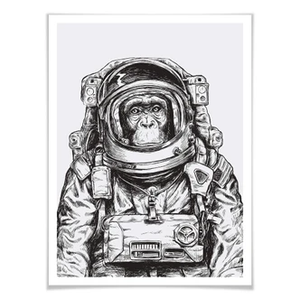 Poster Space Monkey 
