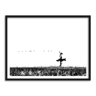 Poster Freedom 