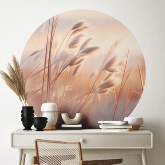 Wall sticker Dune grass in the evening sun - Treechild - Round 