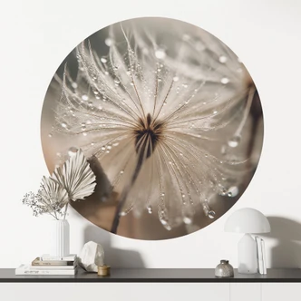 Wall sticker Dandelion in morning dew - Treechild 