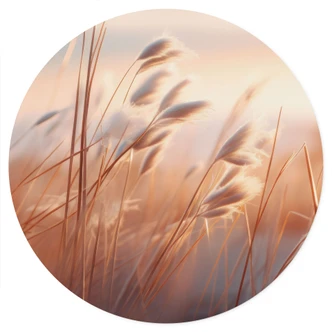 Wall sticker Dune grass in the evening sun - Treechild - Round 