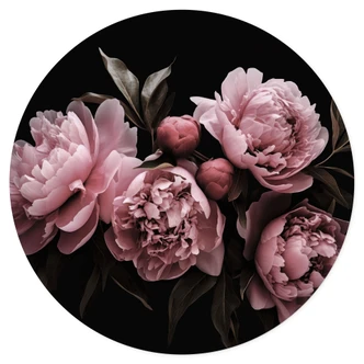 Wall sticker Peony pink - Haase 