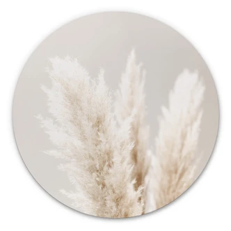 Alu-Dibond Wall Circle 1X Studio - Pampas Grass 