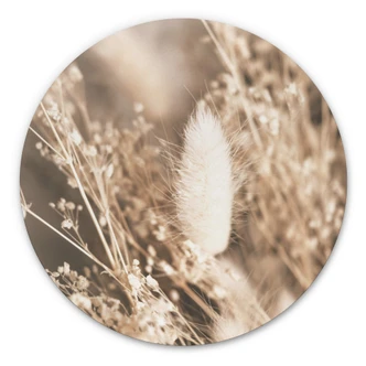 Alu-Dibond Wall Circle Annie - Bundled Grass 