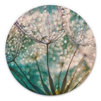 Alu-Dibond Wall Circle Delgado - Sparkling Dandelion 