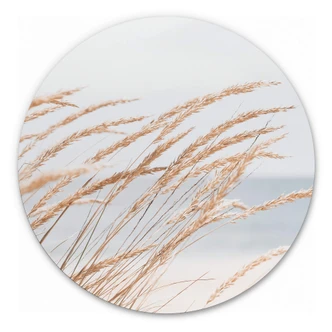 Alu-Dibond Wall Circle Dune Grass 