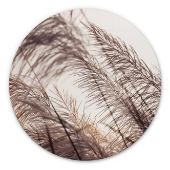 Alu-Dibond Wall Circle Grasses 
