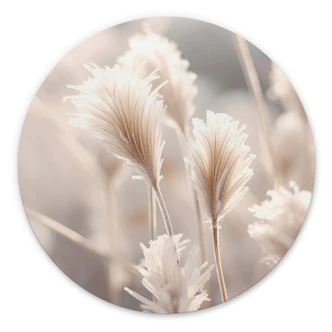 Alu-Dibond Wall Circle Pastel coloured grasses - Treechild 