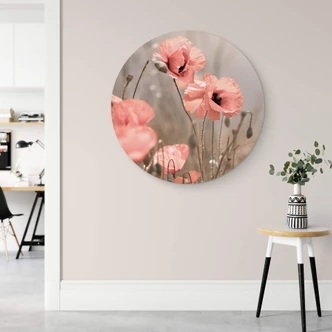 Alu-Dibond Wall Circle Delgado - Poppy Romance 