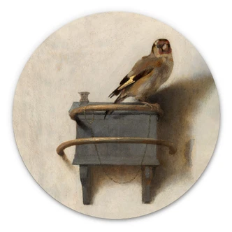 Alu-Dibond Wall Circle Fabritius - the Gold Finch 