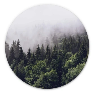 Alu-Dibond Wall Circle Foggy Trees in a Forest 