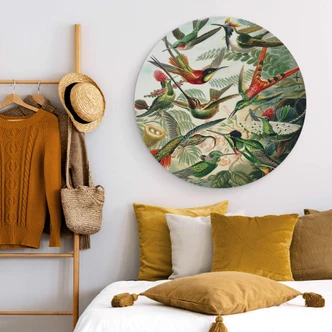 Alu-Dibond Wall Circle Haeckel - Hummingbirds 