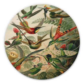 Wall Circle Wood Haeckel - Hummingbirds 