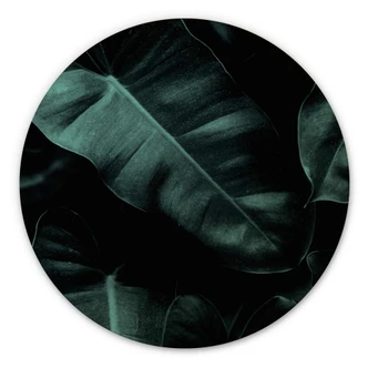 Wall Circle Wood Kubistika - Jungle Leaves 