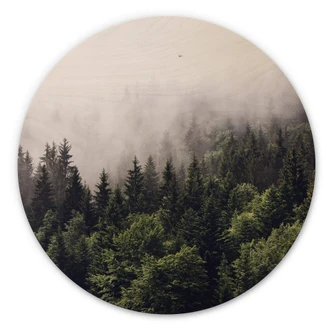 Wall Circle Wood Foggy Trees in the Forest 