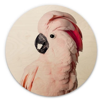 Wall Circle Wood Sisi & Seb - Pink Cockatoo 