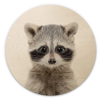 Wall Circle Wood Sisi & Seb - Baby Raccoon 