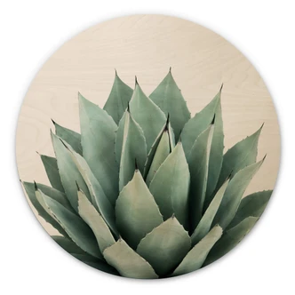 Wall Circle Wood Sisi & Seb - Succulents 
