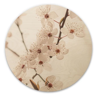 Wood Print Branch with white cherry blossoms - Sisi & Seb - Round 