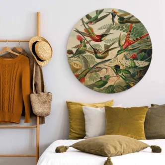 Wall Circle Wood Haeckel - Hummingbirds 