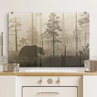 Splashback Ove Linde - Morning Fog 