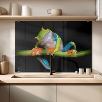 Splashback Valverde – Green Frog 