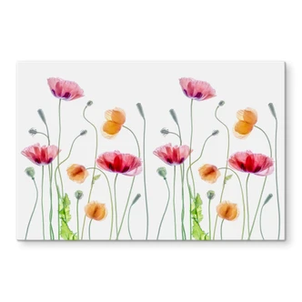 Kitchen Splashback Disher - Colourful Poppies 