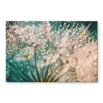 Splashback Delgado - Glittery Dandelions 