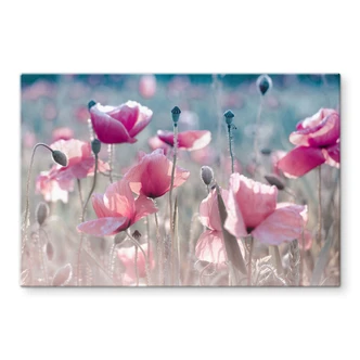 Splashback Delgado - Poppy Flowers 