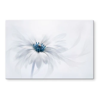Splashback Parker - Frozen flower 