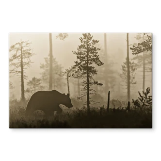 Splashback Ove Linde - Morning Fog 