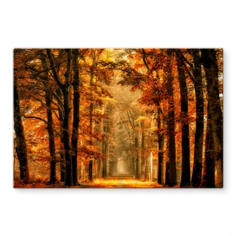 van de Goor - Autumn - Kitchen Splashback 