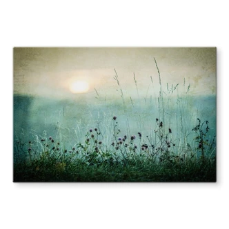 Kitchen Splashback Kværnstrøm - Dew-covered sunrise 