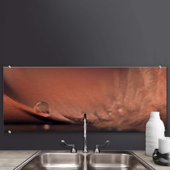 Splashback Dmitry - Story of a waterdrop 