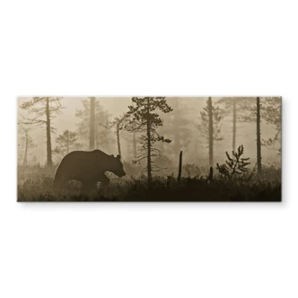 Splashback Ove Linde - Morning Fog 