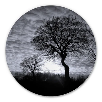 Alu-Dibond Wall Circle Black and White Trees 