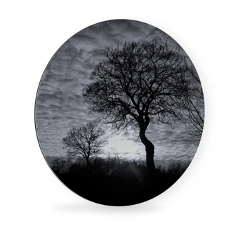 Alu-Dibond Wall Circle Black and White Trees 