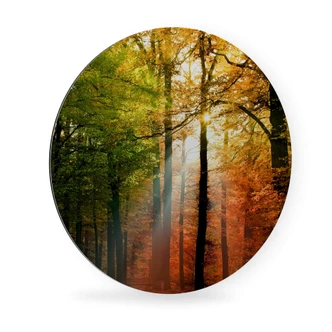 Alu-Dibond Wall Circle Golden Autumn Forest 